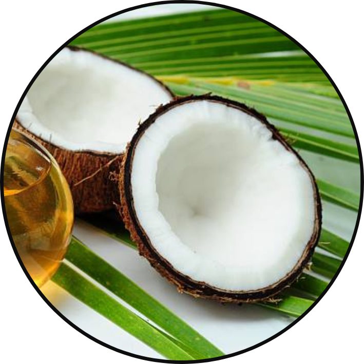 Lip Balm - Coconut